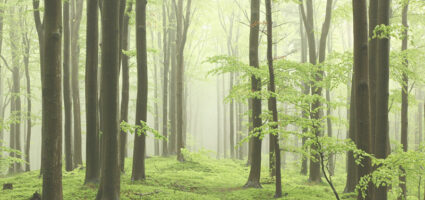 Welcome to Alderwood Psychological Services
